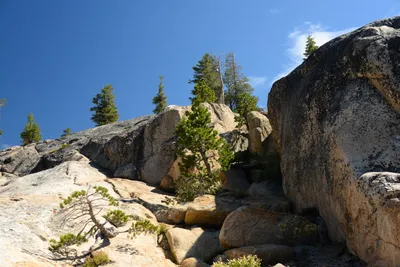 DSC_0193 (Large).JPG